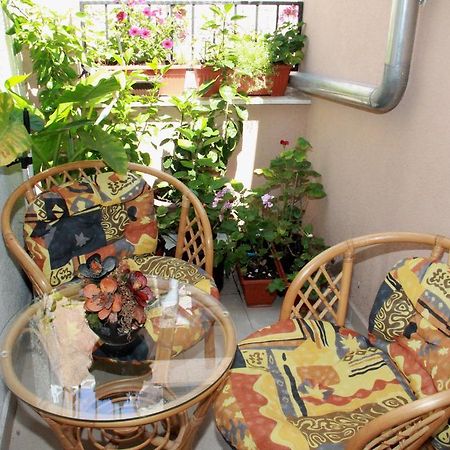 Apartment Bucevic Šibenik Eksteriør bilde